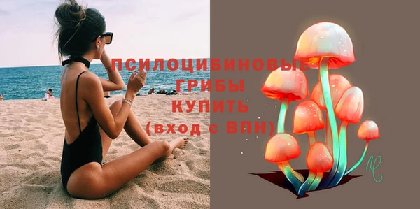 твердый Алексин