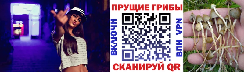 OMG зеркало  купить   Чадан  Галлюциногенные грибы мухоморы 